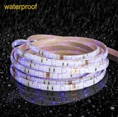 DOSYU 10M/32.8FT Strip Light, 3528 RGB LED Strip Light with Remote Control for TV, Party, Home, DIY, Christmas & Halloween Decorating