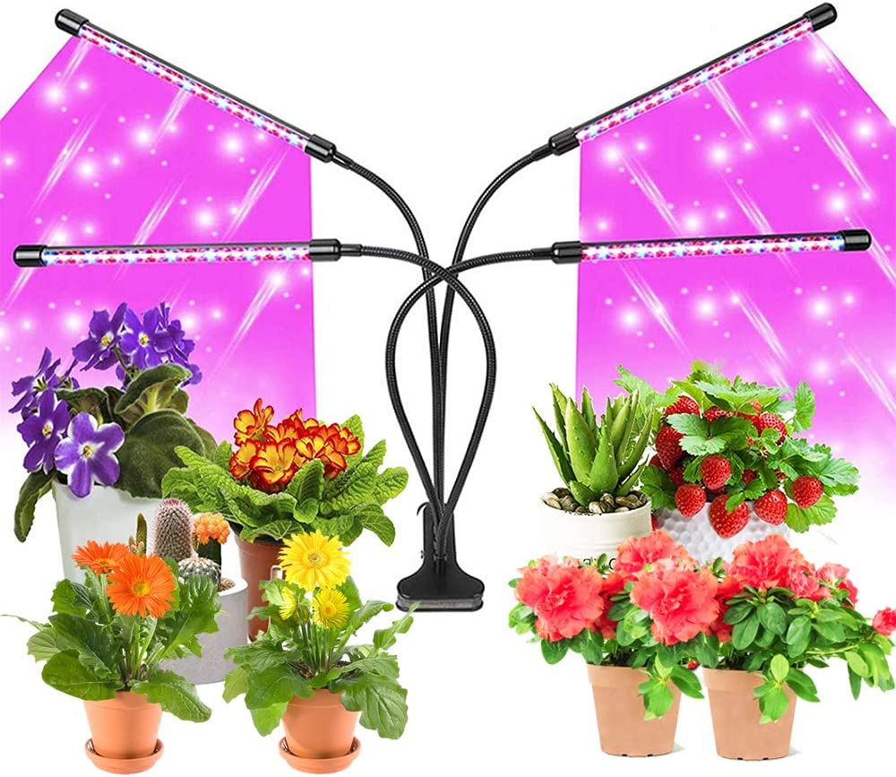 DOSYU Indoor Grow Light, 3/9/12H Timing Function, Red and Blue Full Ppectrum Four-head 80 LED Light, Adjustable Gooseneck, Suitable for Plant Growth