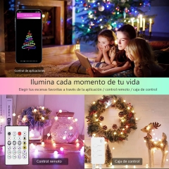 DOSYU Christmas Series, Christmas Decorative Light 10m with USB Control/Remote IR Ball Light RGBIC 66 LED Light, Bluetooth Control