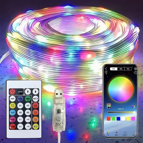 Colorful leather wire LED light string Interior and exterior decoration - Smart Bluetooth APP control